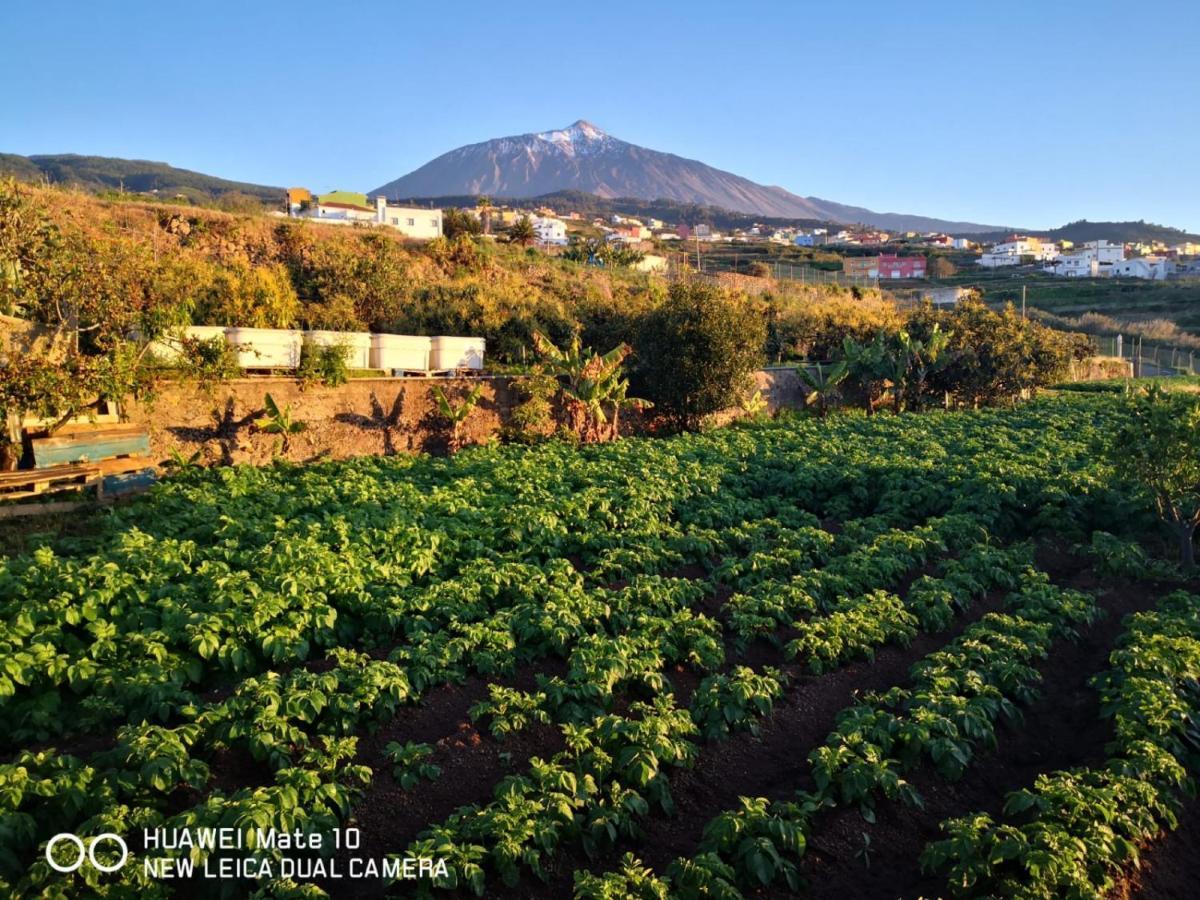 Finca Los Angeles San Juan de la Rambla Bagian luar foto