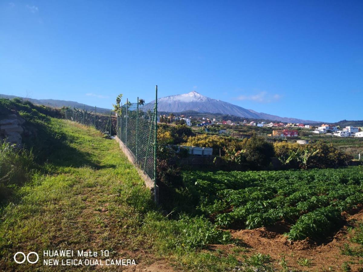 Finca Los Angeles San Juan de la Rambla Bagian luar foto